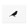 LITTLE BIRDY POST CARDS