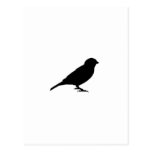 LITTLE BIRDY POSTCARD