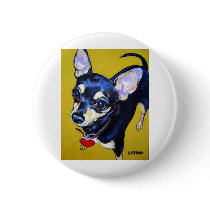 Little Bitty Chihuahua - Black and Tan Chihuahua