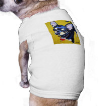 Little Bitty Chihuahua - Black and Tan Chihuahua
