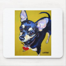 Little Bitty Chihuahua - Black and Tan Chihuahua