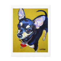 Little Bitty Chihuahua - Black and Tan Chihuahua