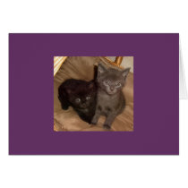 Little Black and Little Grey