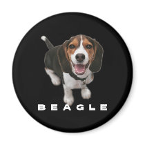 Little Bleagle