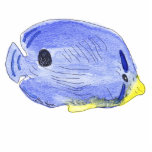 Little Blue Fish Photo Sculpture