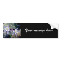Little blue Flowers bumper stickers