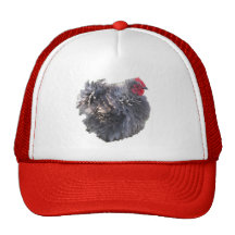 Little Blue Frizzle Cochin Rooster Hats