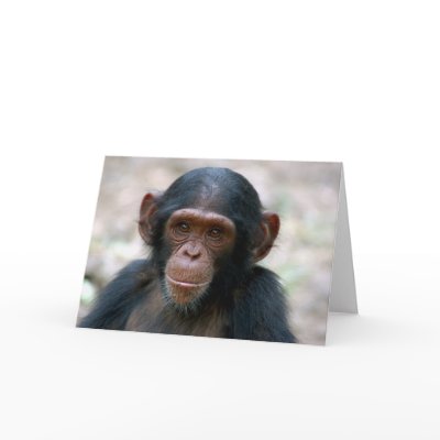 Little Boy Greeting Card by ApeArt