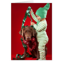 Little boy decorating a dog cards