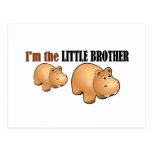 Little brother (hippo) postcard