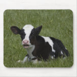 Little Calf Mouse Pad