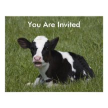 Little Calf Personalized Announcements