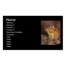 Little Chef Business Cards