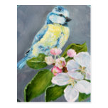 Little Chickadee Postcard