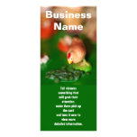 Little Chicken, Business Name, Tell viewers som...