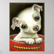 Little chihuahua print
