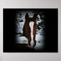 Little Chilly Poster