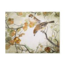 Little Creature-Bull-headed Shrikes Postcard