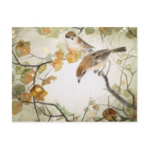 Little Creature-Bull-headed Shrikes