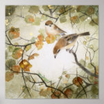 Little Creature-Bull-headed Shrikes Print