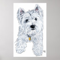 Little Curious Westie Print