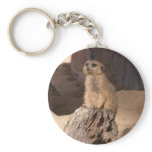 Little Cutie keychains
