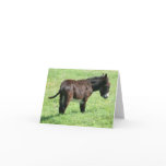 LITTLE DONKEY GREETING CARD