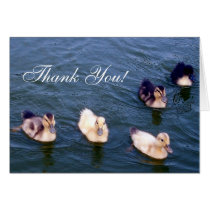Little Ducklings Greeting Cards