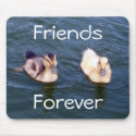 Little Ducklings Mousepad