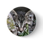 Little feral buttons