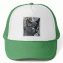 Little feral trucker hat