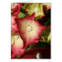 little flower cards