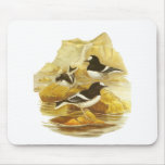 Little Forktail mousepads