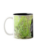 little fox coffee mugs