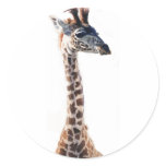 "Little Giraffe" Wildlife Animal Watercolor stickers