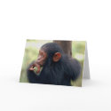 Little Girl cards