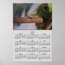 Little Green Grasshopper 2012 Calendar Photo