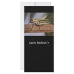 Little Green Grasshopper Bookmark Promotional Card rack cards
