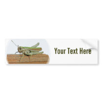 Little Green Grasshopper Cartoon