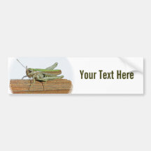 Little Green Grasshopper Cartoon Bumper Sticker