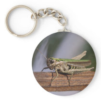 Little Green Grasshopper Keyring