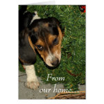 Little Helper,  From our home...   Christmas card