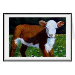LITTLE HEREFORD CALF: PAINTING IN OIL GREETING CARD