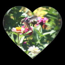 Little Hummingbird stickers