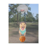 Little Kid's Basketball Post Cards