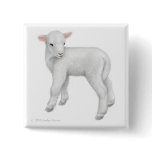 Little Lamb Pin buttons