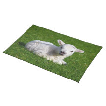 LITTLE LAMB PLACE MATS