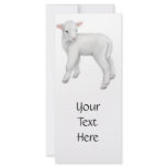 Little Lamb Rack Card rack cards