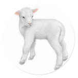 Little Lamb Sticker