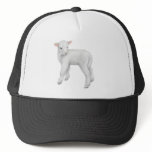 Little Lamb Trucker Hat
